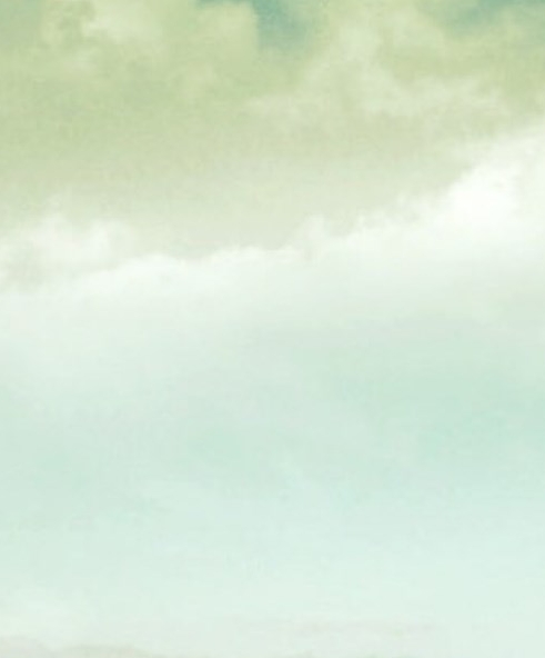 蜜源跟粉象相比