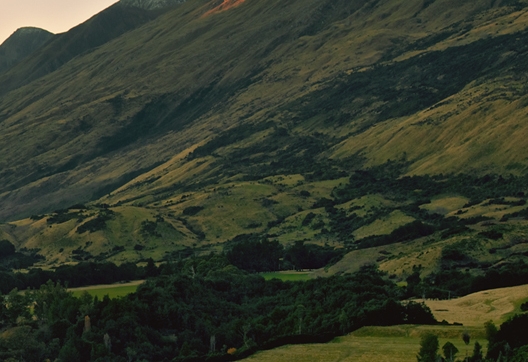 粉象生活营销电话粉象生活