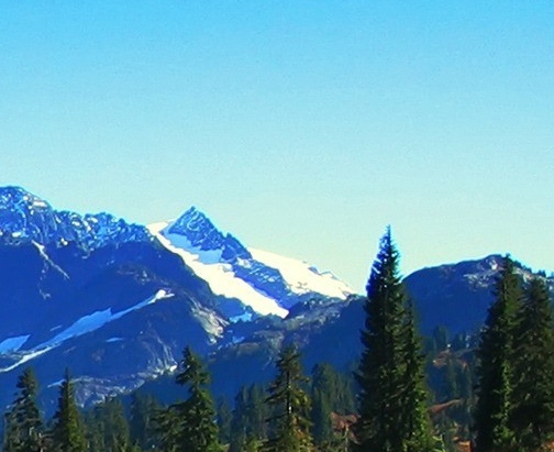 粉象生活创业技巧