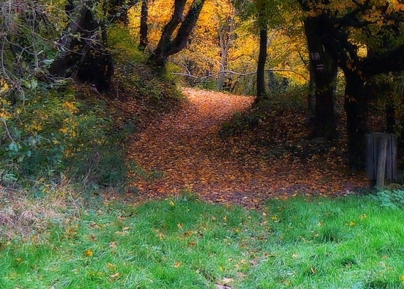 粉象生活未来可期