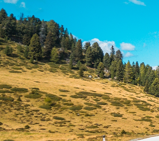 粉象生活全套app