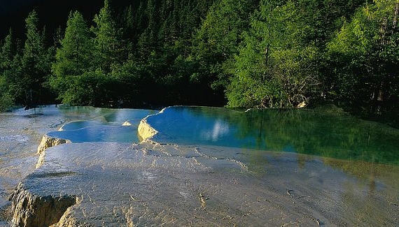 粉象生活是什么?