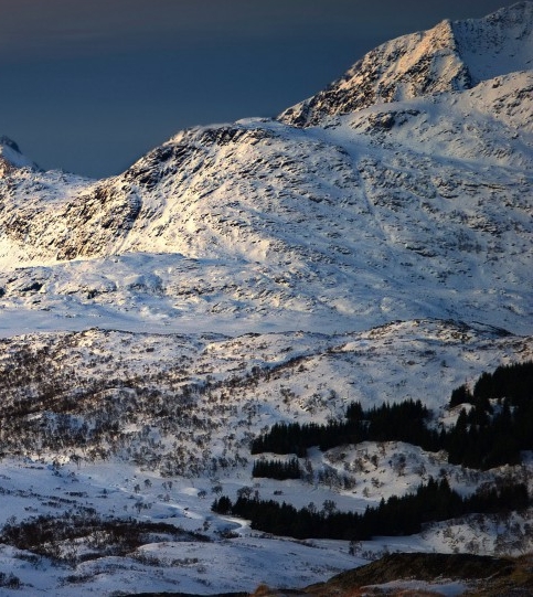粉象生活怎么使用视频赚钱