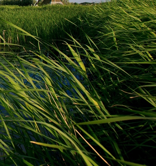 粉象生活可以卖什么