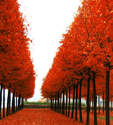 无锡晴晴爱生活年收入