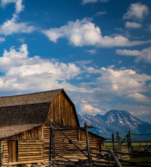 粉象是什么平台