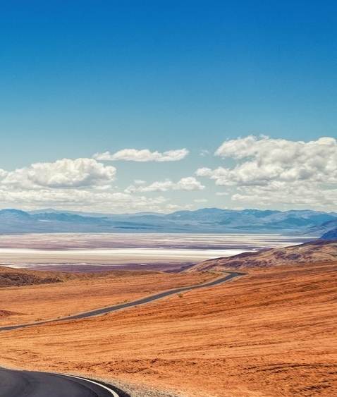 粉象生活赚钱项目怎么做