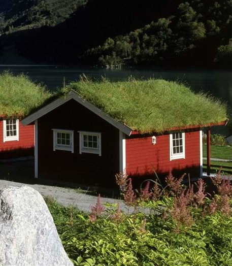 粉象生活怎么填写邀请码