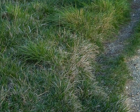 粉象生活app闪退