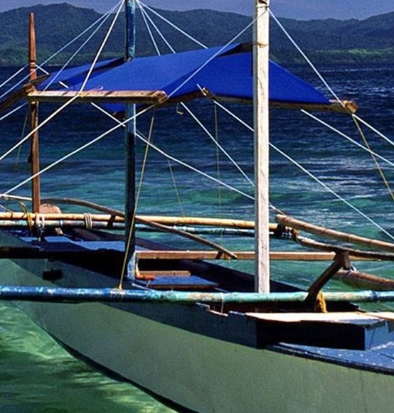 加入粉象生活VIP可行吗