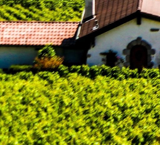 粉象生活运营思维导图