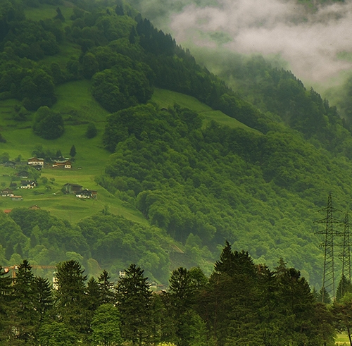 深粉象啤酒多少钱一瓶