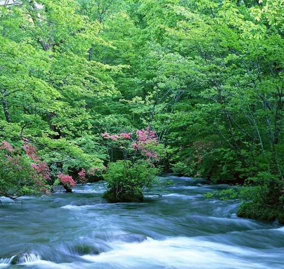 龙岩粉象生活积分