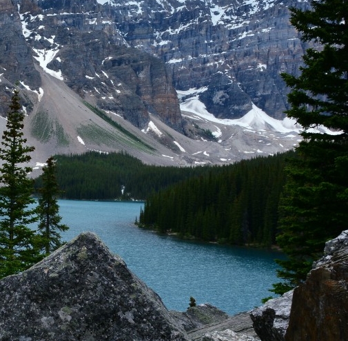 粉象生活疯狂吸金
