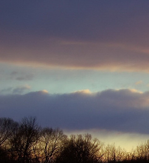 果冻宝盒与粉象生活哪个好