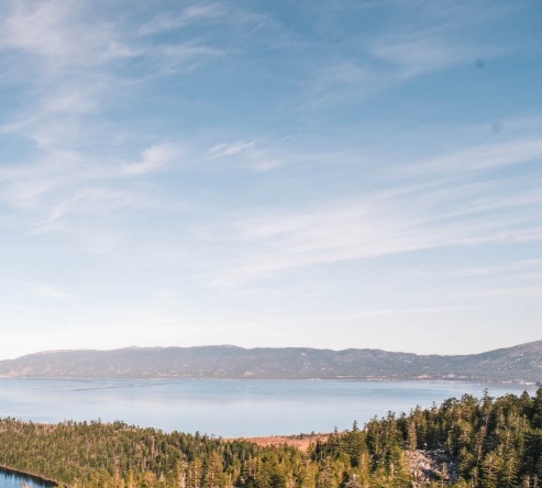 粉象生活怎么赚钱