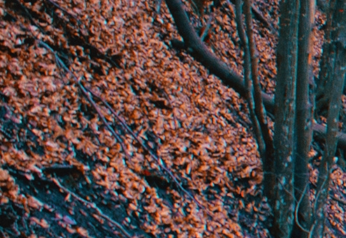 粉象生活平台怎么上传视频