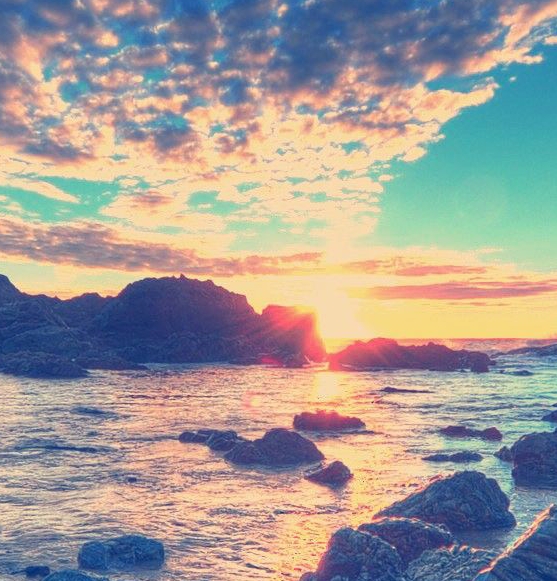 粉象生活加入购物车行吗