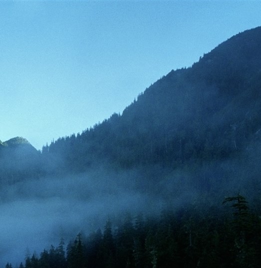 粉象生活靠谱不