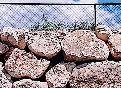 福建加盟粉象生活app