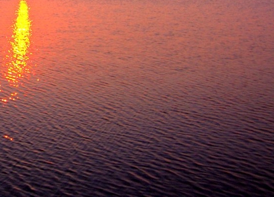 粉象生活可以赚钱吗