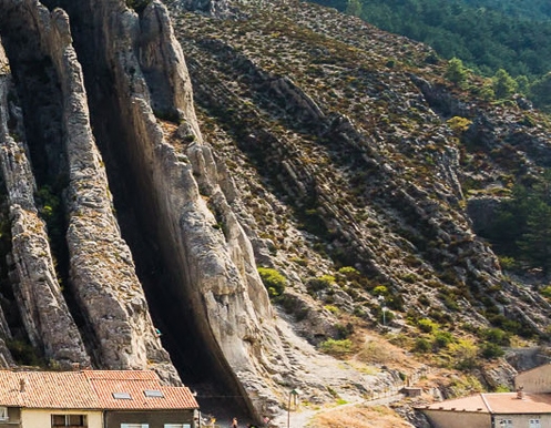 粉象生活教程视频