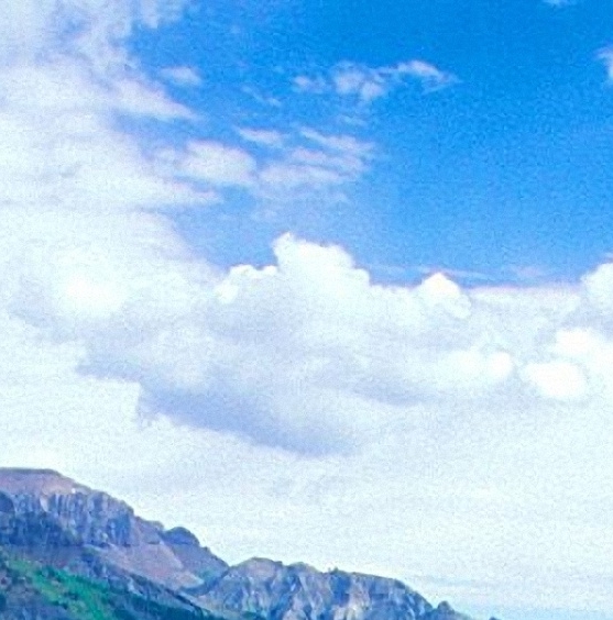 粉丝生活山东运营店