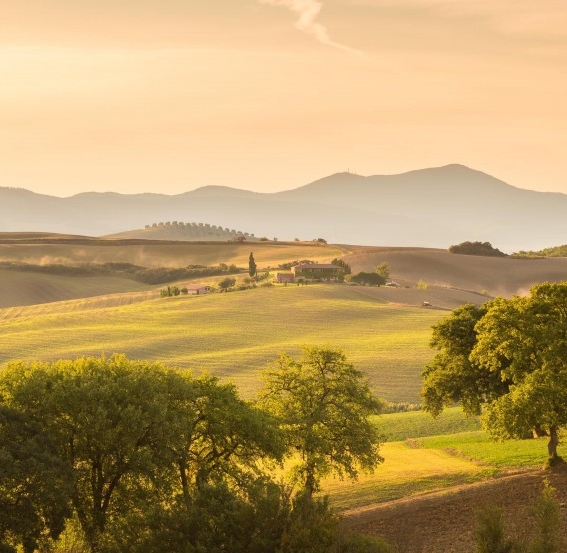 白山粉象生活加盟