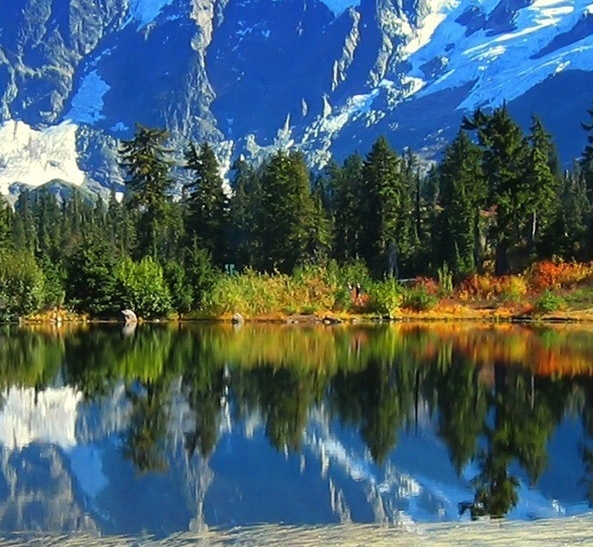 粉象生活邀请码