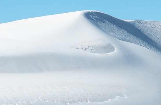 粉象生活下载app