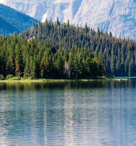 粉象生活为什么值得买