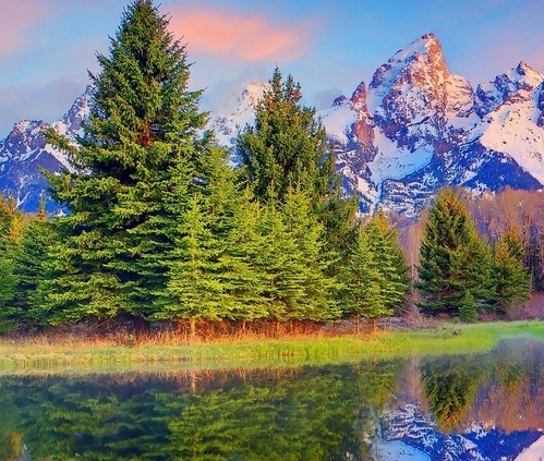 比利时粉象哪款啤酒好喝