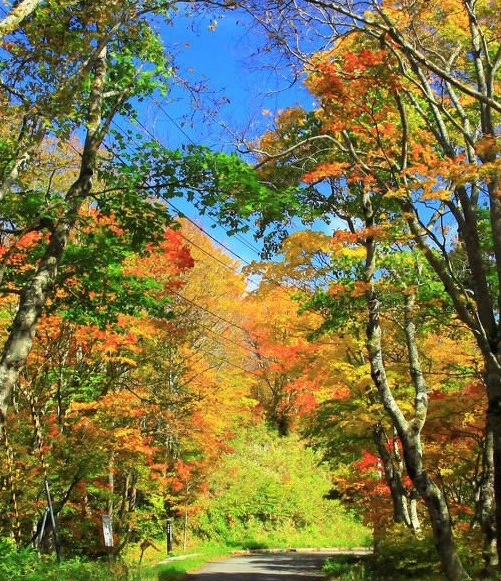 粉象生活怎么发单