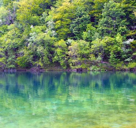 粉象生活下载app