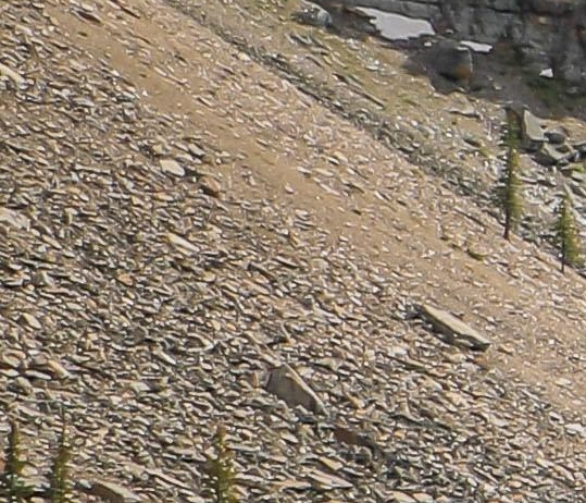 粉象生活新品发布