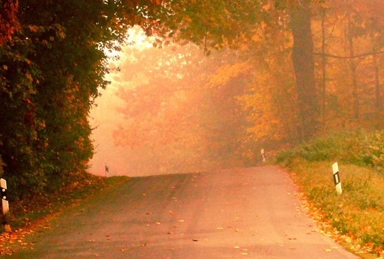 粉象生活粉丝怎么增加