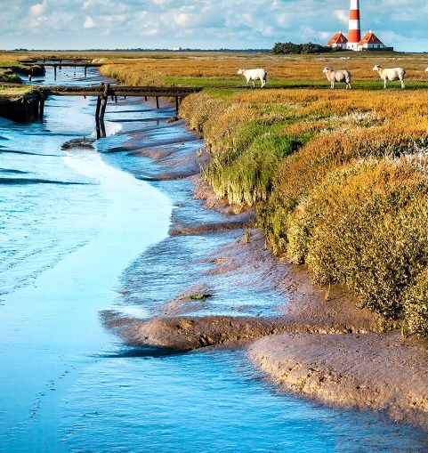 粉象生活如何邀请新人
