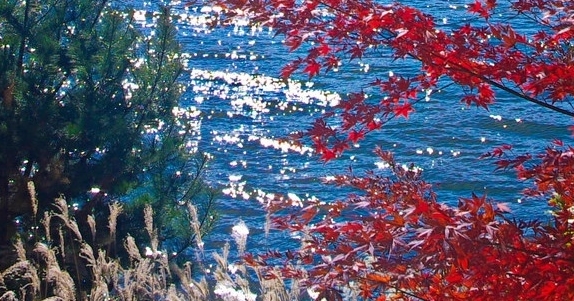 粉象生活粉丝怎么增加