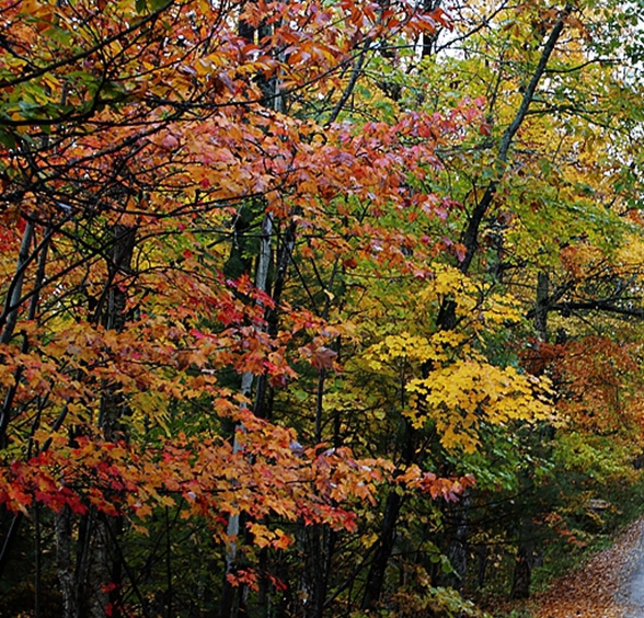 上海品质生活体验中心