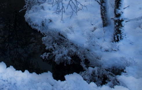 粉象生活怎么赚钱的