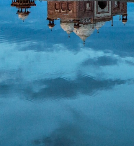 粉象生活下载app