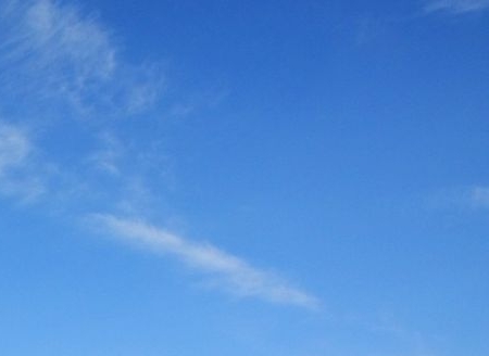 粉象生活邀请码