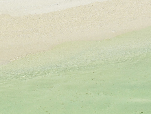 聊城粉象生活vip