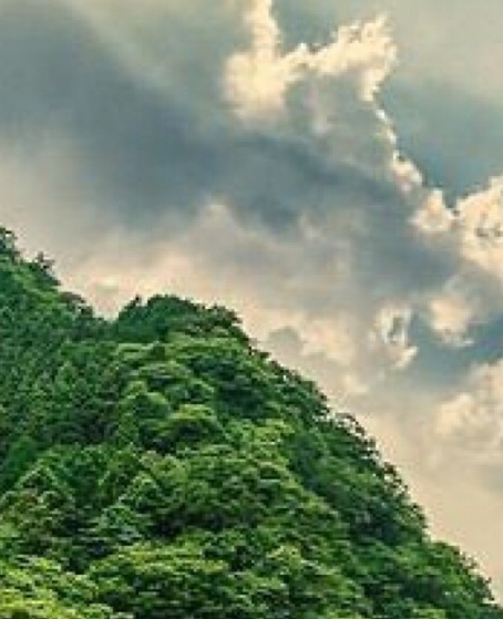 粉象生活目标分析