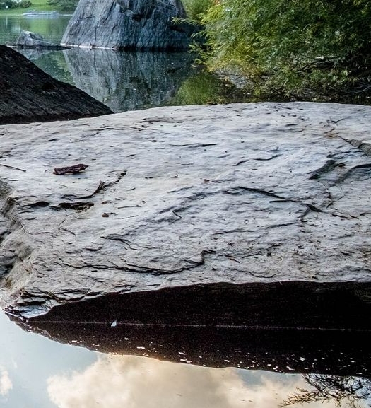 粉象生活怎么赚钱?操作一个月收入3