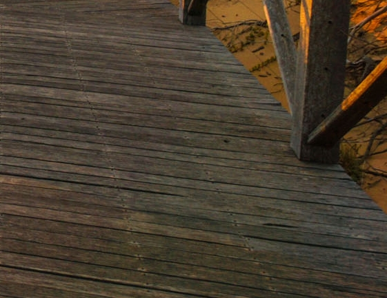 粉象生活的实际用户