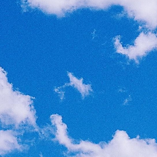 粉象生活代理模式