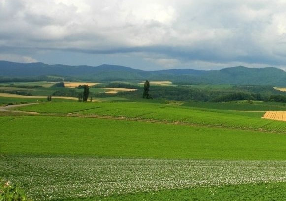 粉象生活没有粉丝能赚钱吗