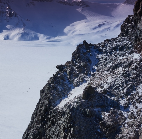 粉象生活赚钱教程