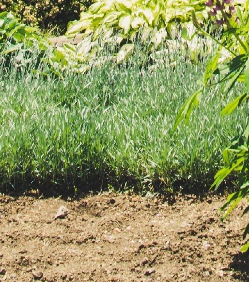 粉象生活现在做什么好